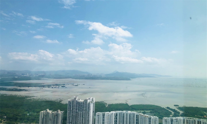 中洲湾05