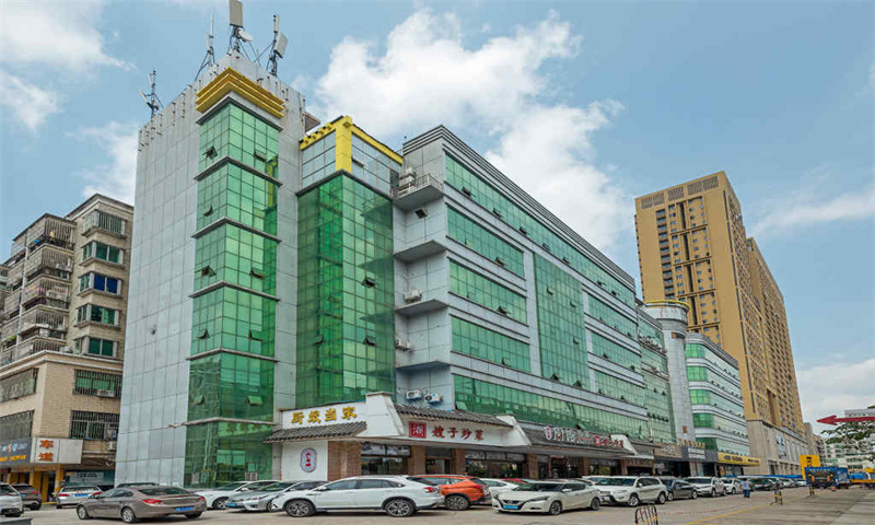 龙胜商业大厦01