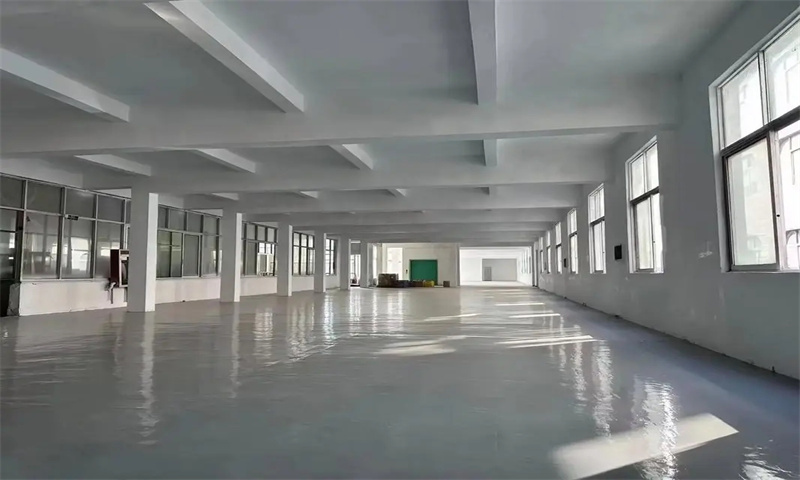 289数字半岛